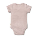 Wilson & Frenchy | Rib Stripe  Bodysuit-Plum RRP $34.99