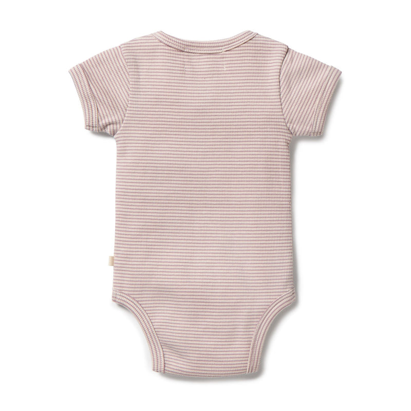 Wilson & Frenchy | Rib Stripe  Bodysuit-Plum