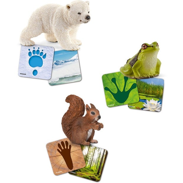 Schleich Wild Life Flash Cards
