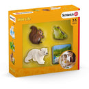 Schleich Wild Life Flash Cards