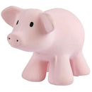 Tikiri I Farm Animal Rattles