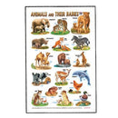 Educational Poster Animals & Their Babies