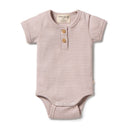 Wilson & Frenchy | Rib Stripe  Bodysuit-Plum RRP $34.99